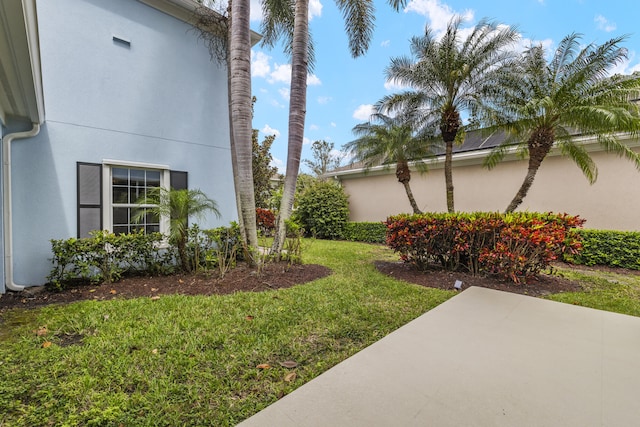 view of yard featuring a patio area