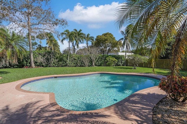 view of pool featuring a yard