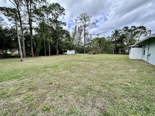 view of yard featuring a shed