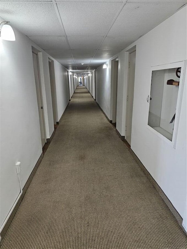 hall featuring a drop ceiling and dark carpet