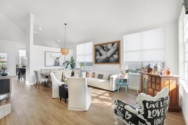 living room with light hardwood / wood-style floors