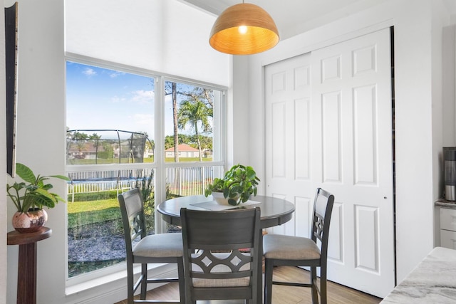 dining space with hardwood / wood-style flooring