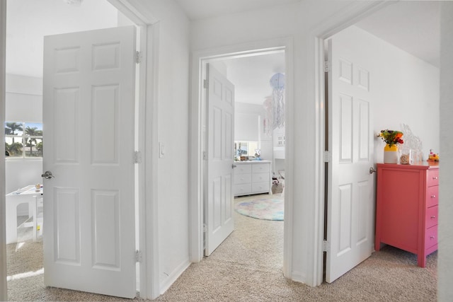 corridor featuring carpet floors