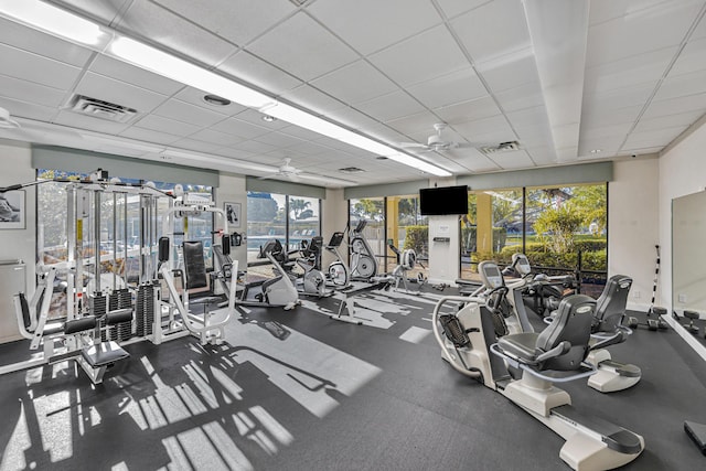 gym featuring ceiling fan, a paneled ceiling, and a healthy amount of sunlight