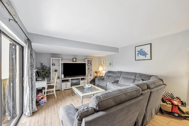 living room with wood-type flooring