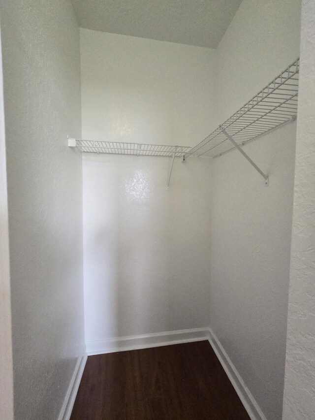 spacious closet featuring wood-type flooring