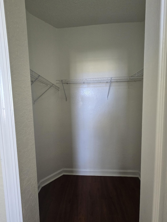 walk in closet with hardwood / wood-style flooring