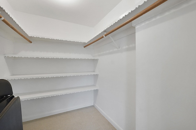 spacious closet with light colored carpet