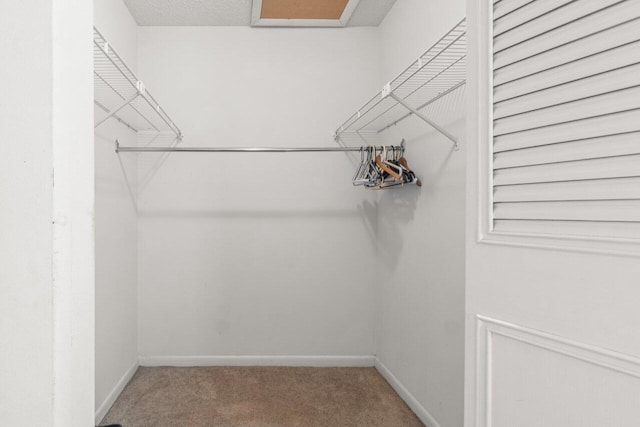 spacious closet with carpet floors