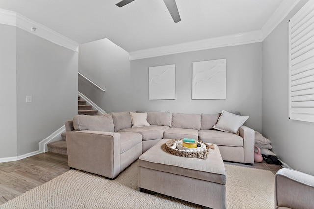 living room featuring crown molding, ceiling fan, and light wood-type flooring