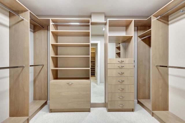 spacious closet with light carpet