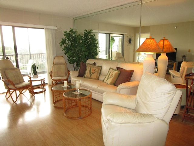 living room with hardwood / wood-style flooring