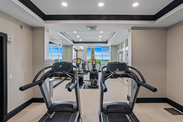 workout area featuring ornamental molding and a raised ceiling