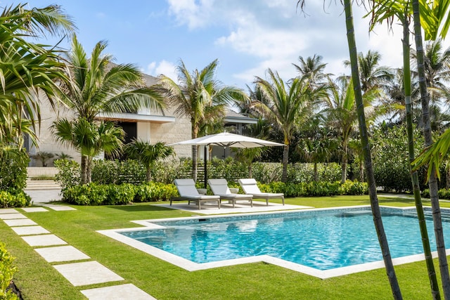 view of pool featuring a lawn and a patio area