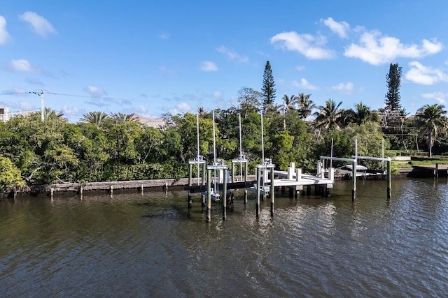 dock area with a water view