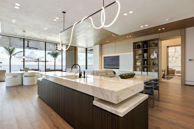 kitchen with a water view, sink, dark brown cabinetry, and light hardwood / wood-style flooring