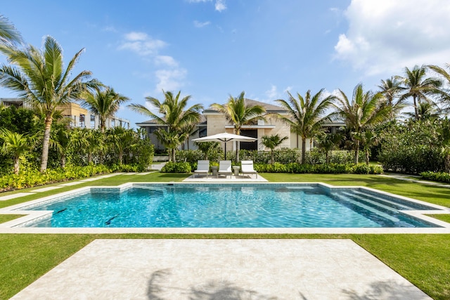 view of swimming pool with a patio and a lawn