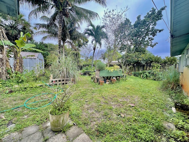 view of yard featuring a shed