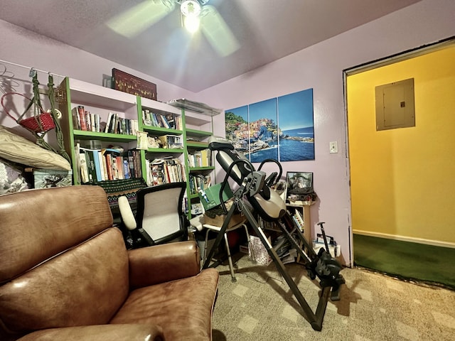 exercise room with carpet, electric panel, and ceiling fan