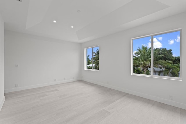 empty room featuring a raised ceiling, light hardwood / wood-style flooring, and a wealth of natural light