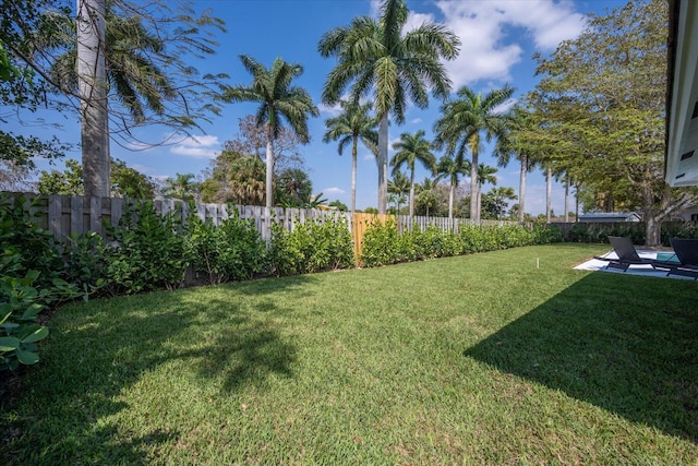 view of yard featuring a patio area