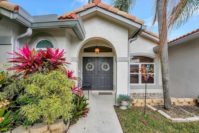 view of exterior entry with a tile roof and stucco siding