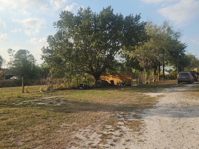 view of yard with driveway