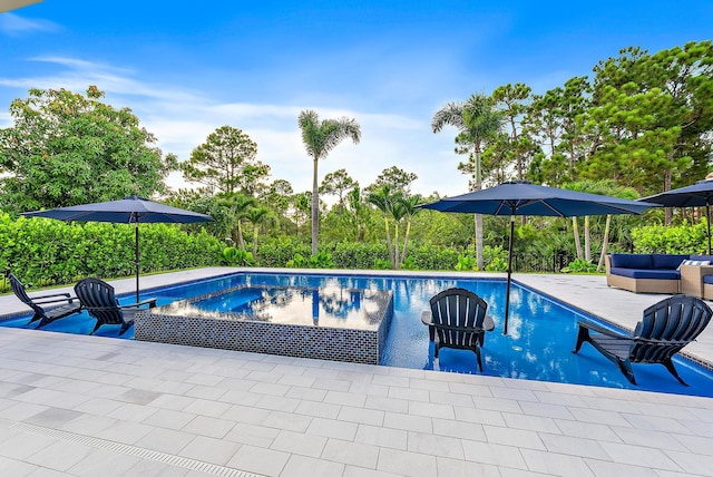 view of pool with outdoor lounge area and a patio