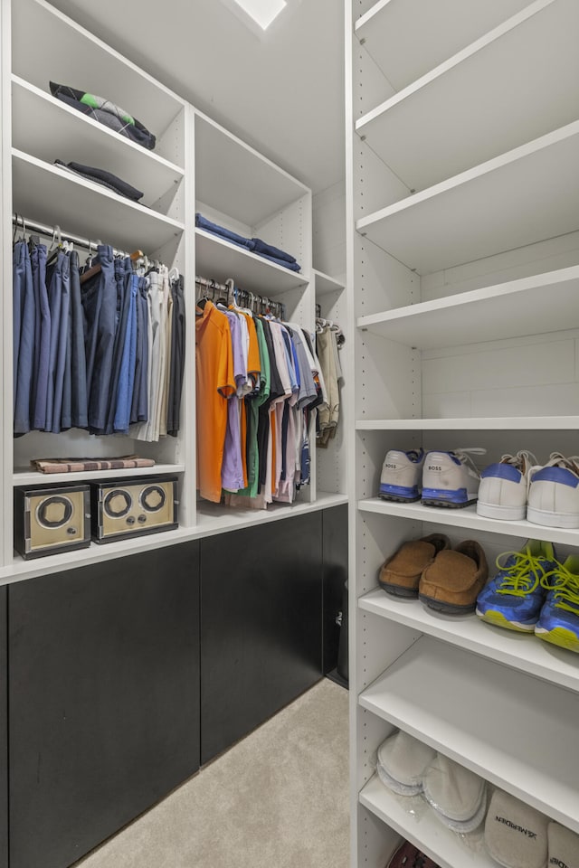 walk in closet with carpet floors