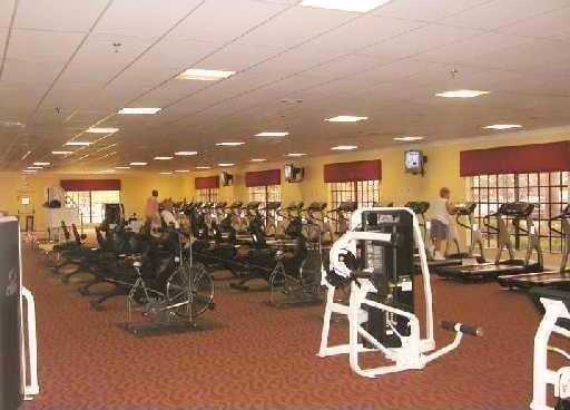 exercise room featuring a wealth of natural light and carpet flooring