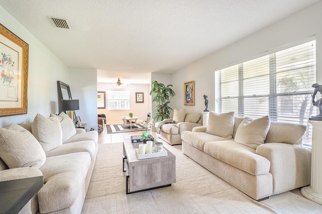 living room with a textured ceiling