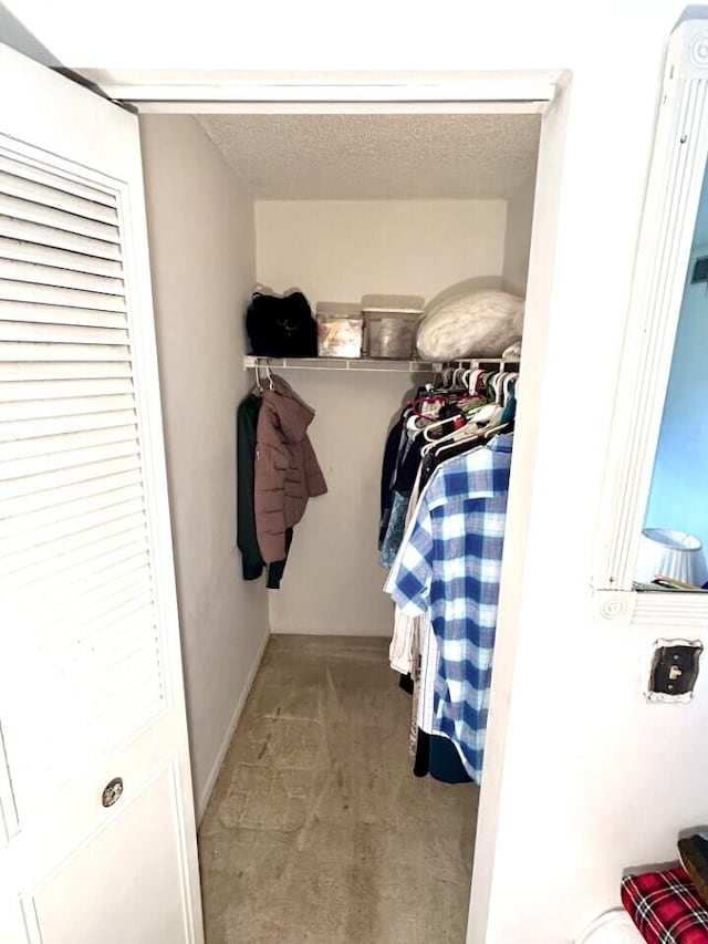 spacious closet with light colored carpet