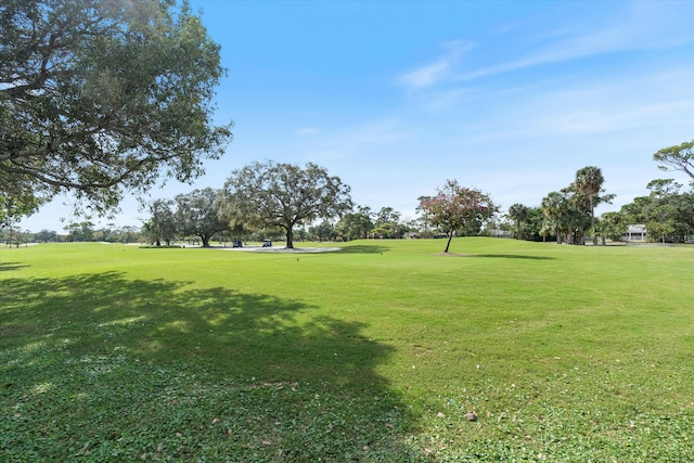 view of property's community featuring a yard