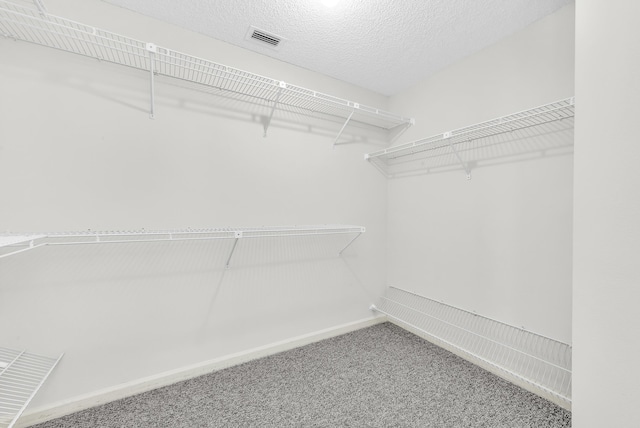 walk in closet with carpet flooring