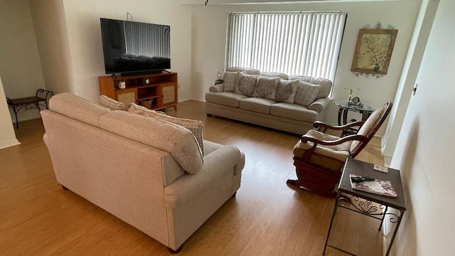 living room featuring wood-type flooring