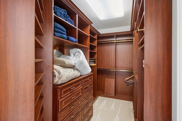 spacious closet featuring light colored carpet