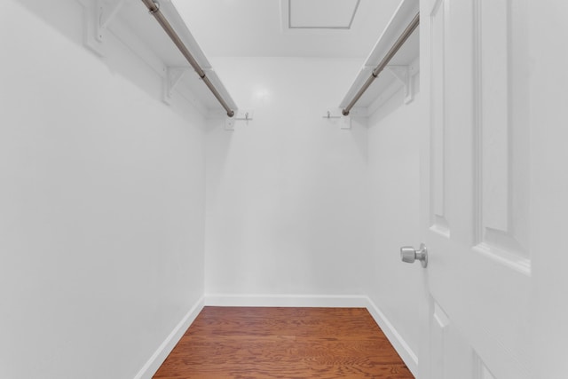 walk in closet with dark hardwood / wood-style floors