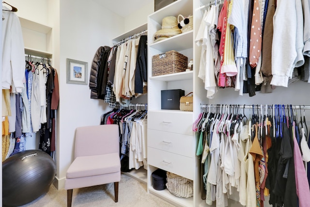 spacious closet with light colored carpet