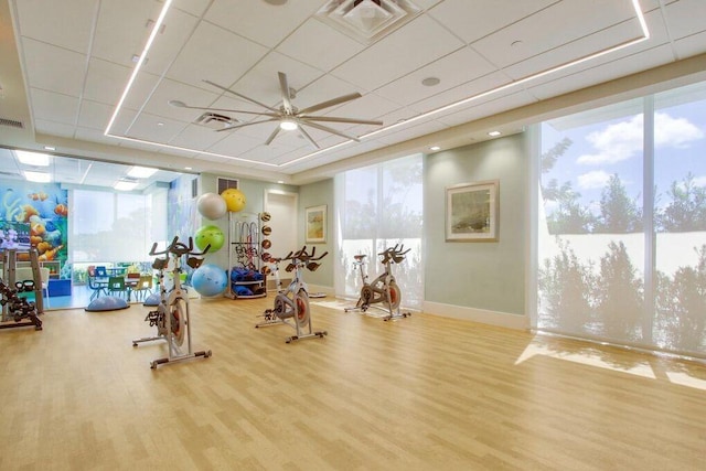 gym featuring hardwood / wood-style flooring, ceiling fan, and a wall of windows