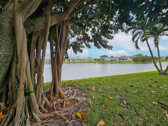 view of water feature