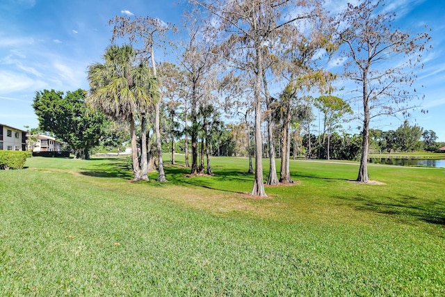 view of yard featuring a water view