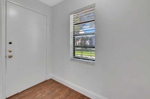 entrance foyer featuring hardwood / wood-style floors