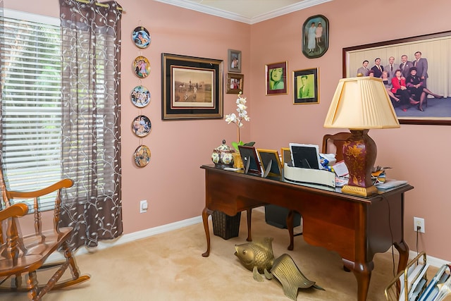 office featuring ornamental molding and carpet floors