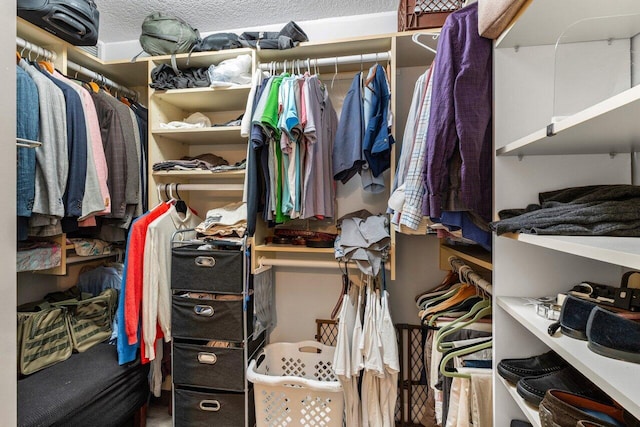 view of spacious closet