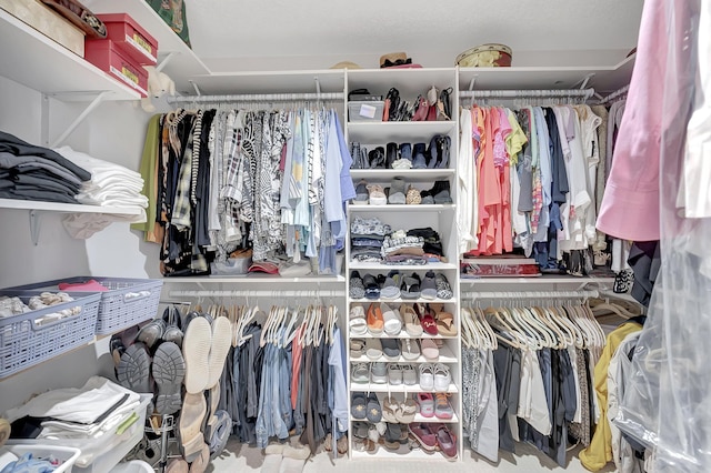 view of spacious closet