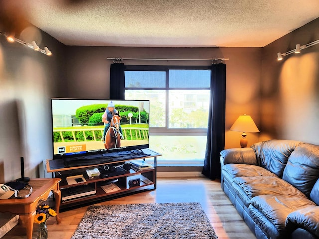 living room featuring light wood-type flooring and a textured ceiling