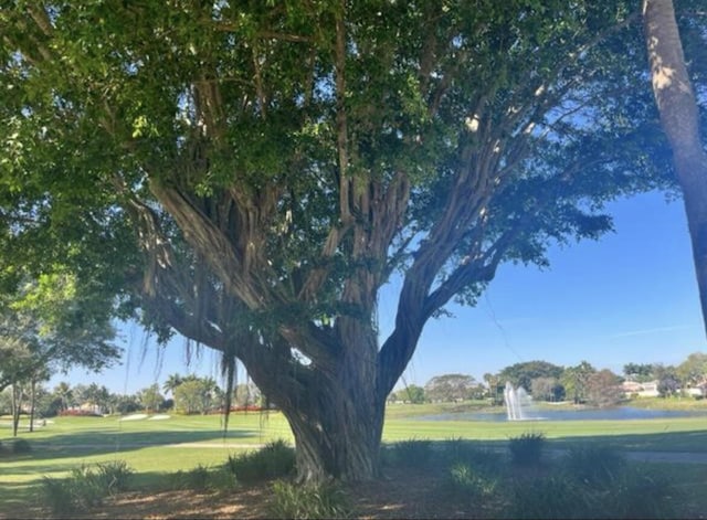 view of home's community featuring a water view and a lawn