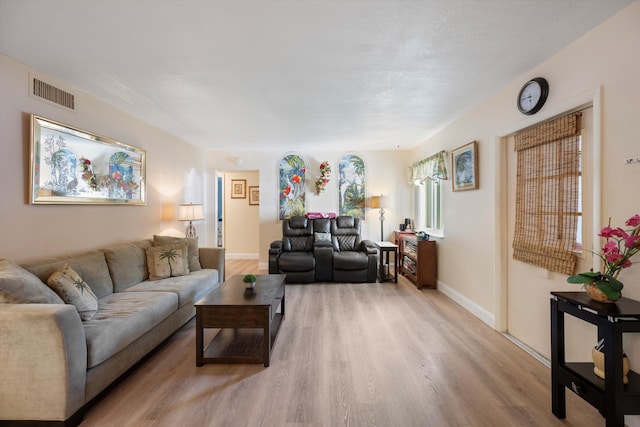 living room with hardwood / wood-style flooring