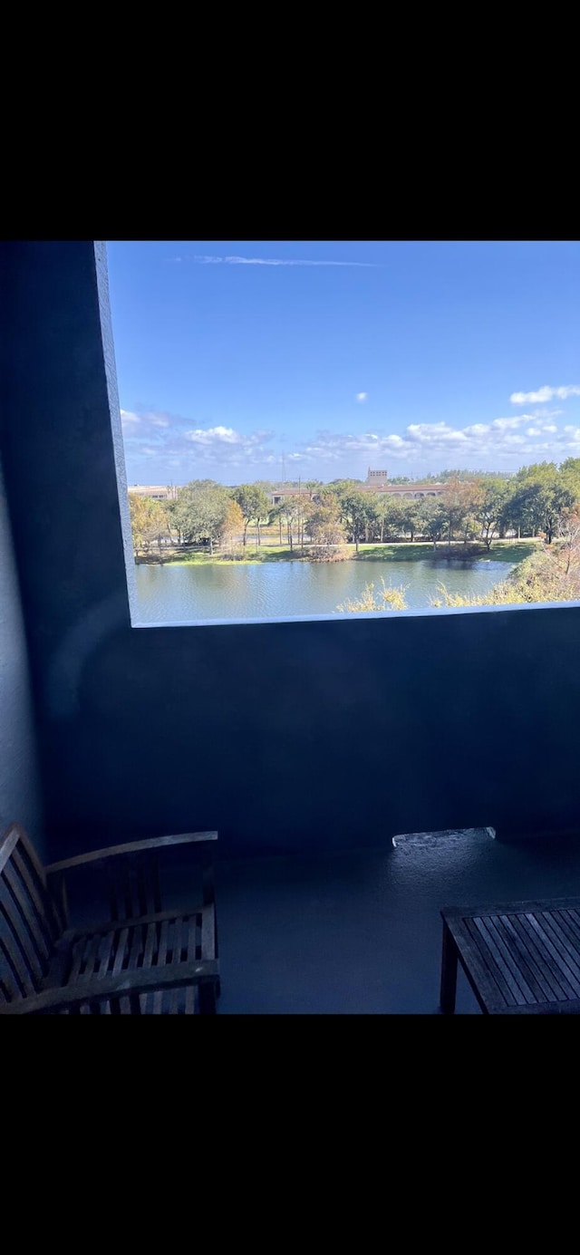 property view of water