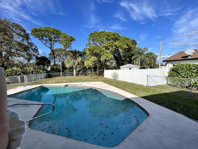 view of pool with a lawn